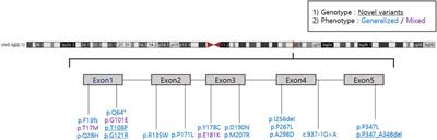 Clinical and genetic features of Koreans with retinitis pigmentosa associated with mutations in rhodopsin